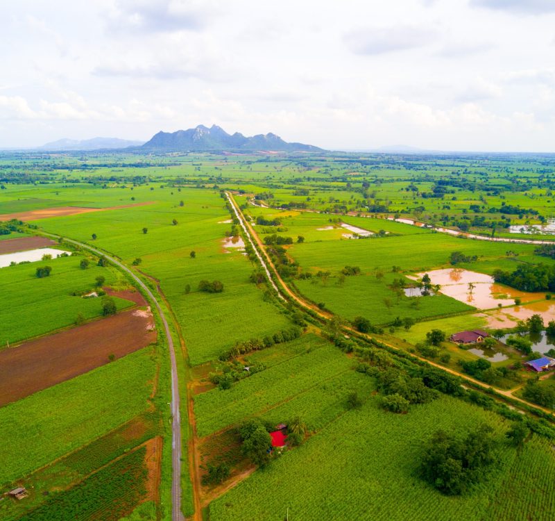 aerial-view-railway-road-through-vast-sugarcane-fields